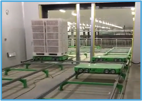 Cold Fresh Fruit Storage Warehouse Automation
